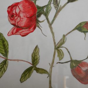 26. Rosas rojas. 29x21 cm. 150e.